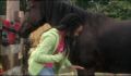 dr dolittle 3-avi_533.jpg